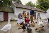 Tyrone and America - Shared stories as the Ulster American Folk Park marks 50 years