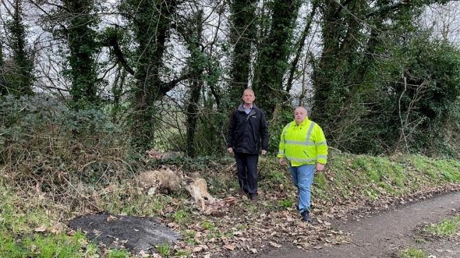 Anger as animal carcasses dumped near Ballymagorry beauty spot