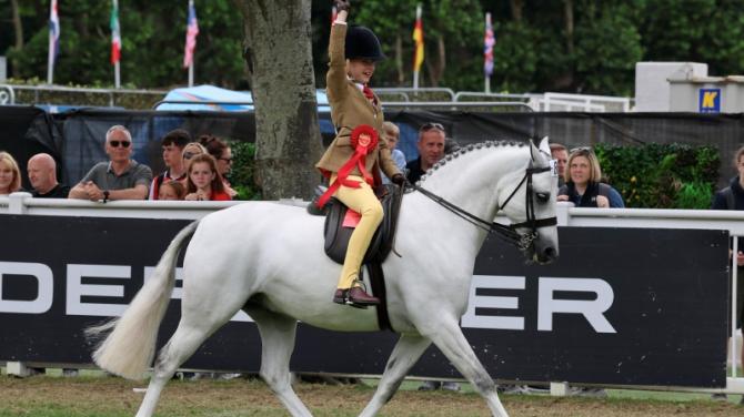 Casey-Lee wins at Dublin Horse Show for the third year in-a-row!